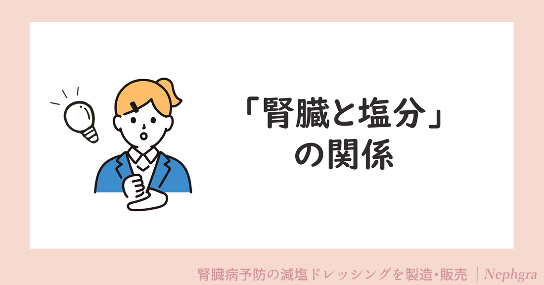 「腎臓と塩分」の関係