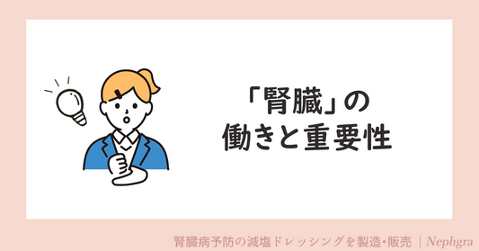 腎臓の働きと重要性